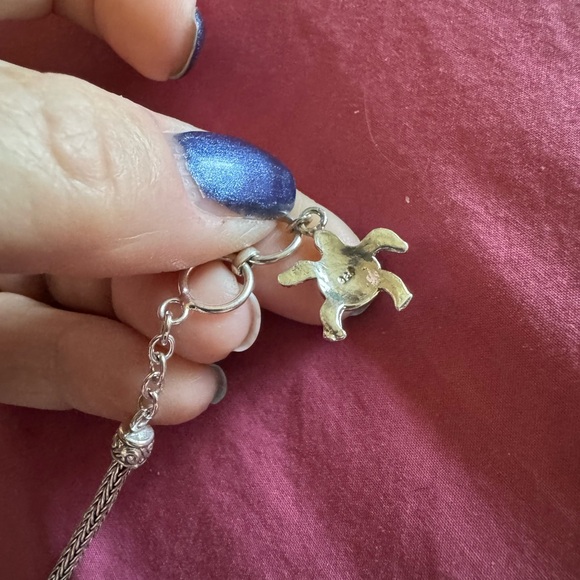 Silver Turtle Charm Bracelet - Picture 3 of 5